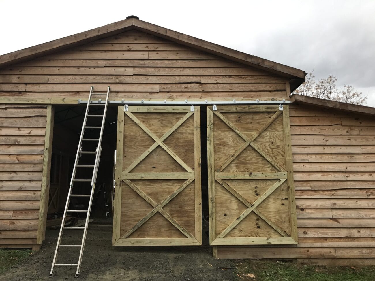 A wooden shed with two large sliding barn doors, one partially open, and a metal ladder leaning against the front.